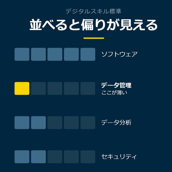 「並べると偏りが見える」を示す図です。ソフトウェア／データ管理／データ分析／セキュリティを並べています。強調しているのはデータ管理です。ここが薄いと添えています。