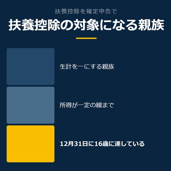 「扶養控除の対象になる親族」を示す図です。生計を一にする親族／所得が一定の線まで／12月31日に16歳に達しているを並べています。強調しているのは12月31日に16歳に達しているです。